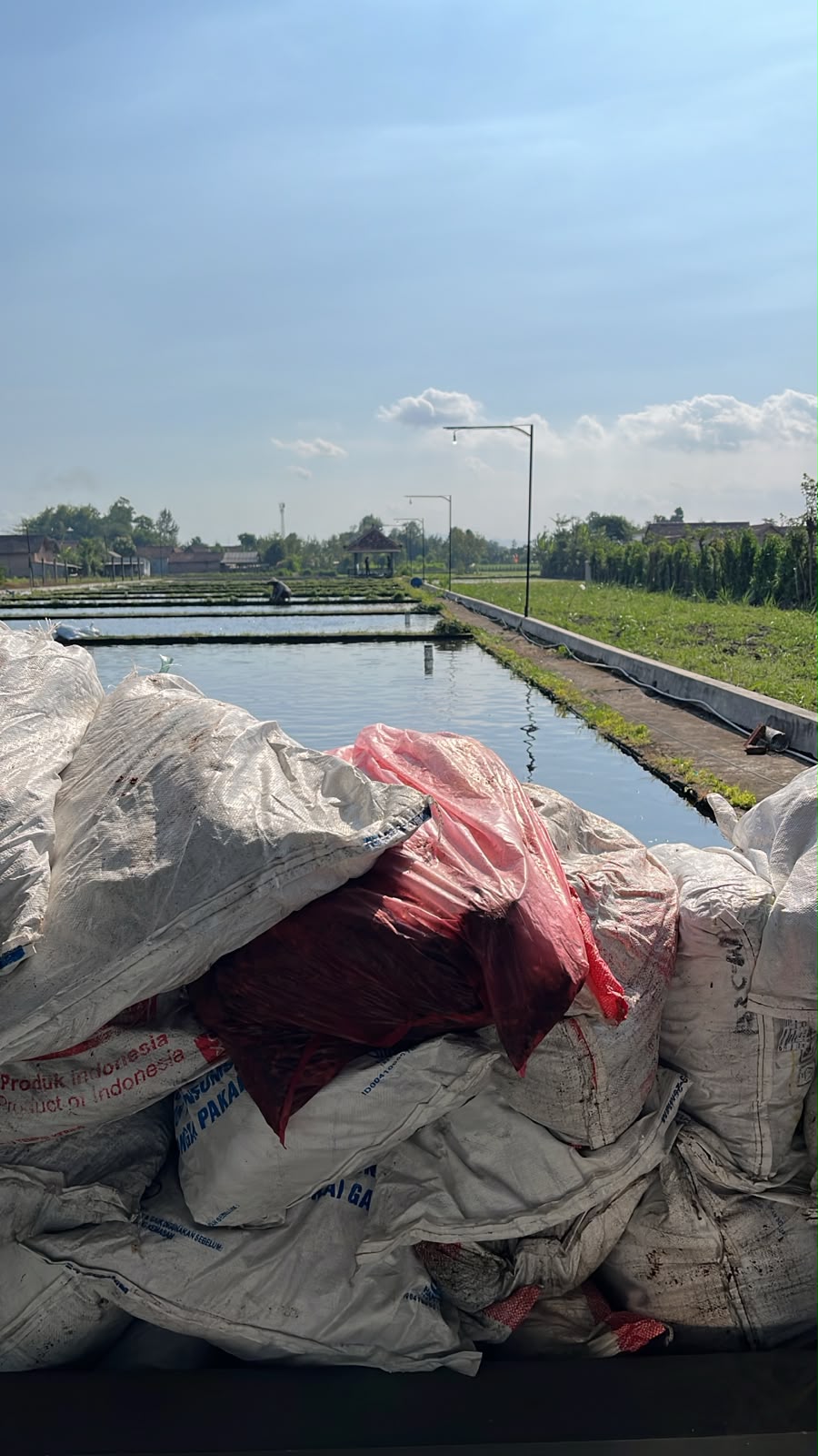 Pemasangan kolam ikan 